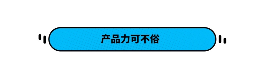 相当耐造！这几款国产车想去哪就去哪，性能强悍！