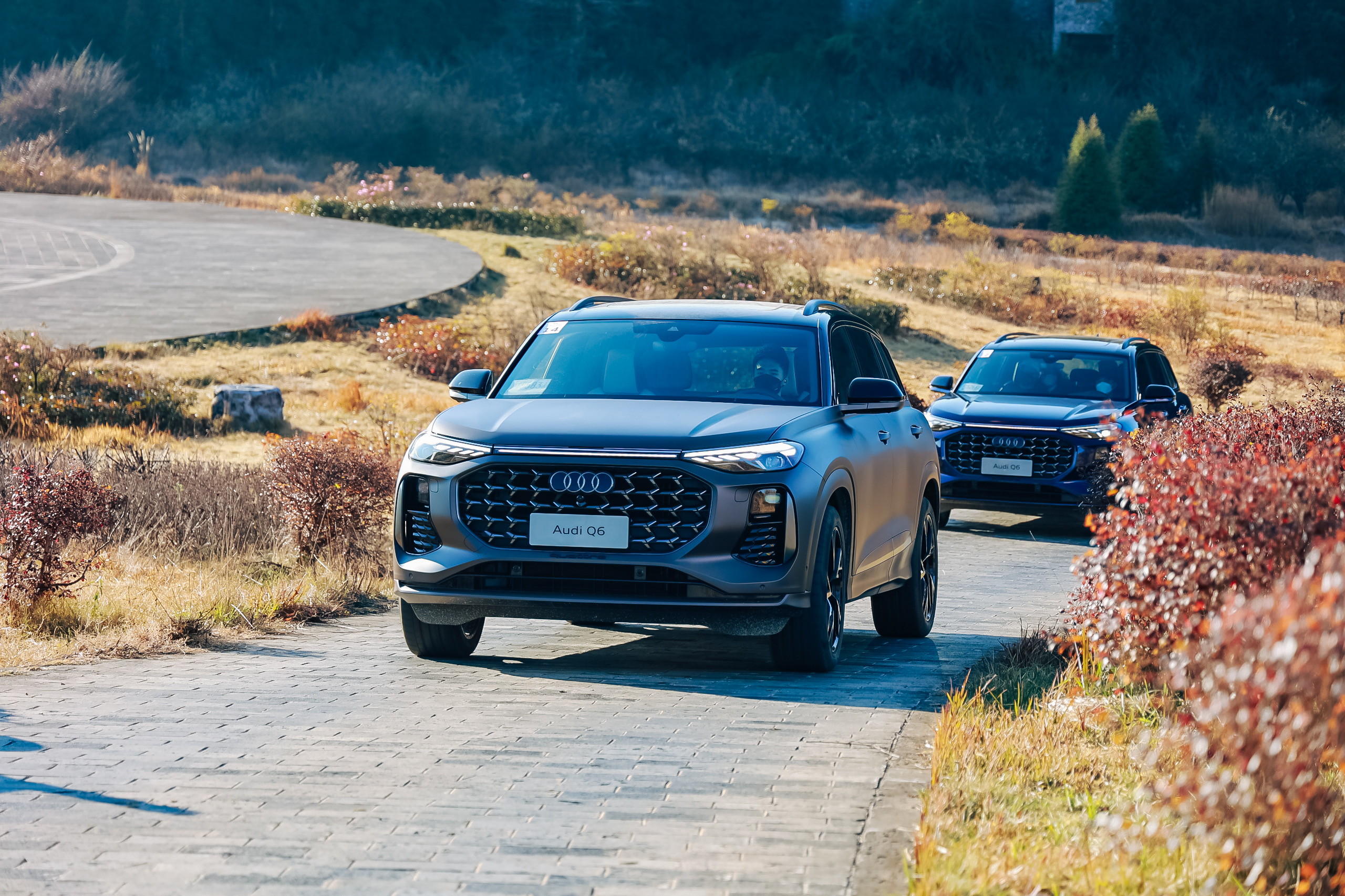 һ������MPV���д���SUV���������µ�Q6