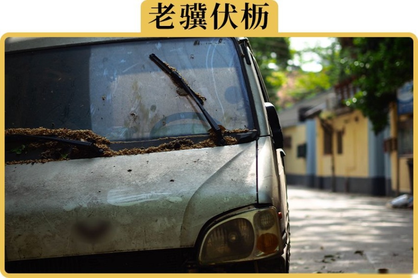过年车子要停着不开，有哪些要提前注意的事