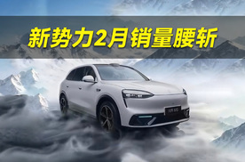新势力2月销量集体腰斩，小米问界都跌惨了！