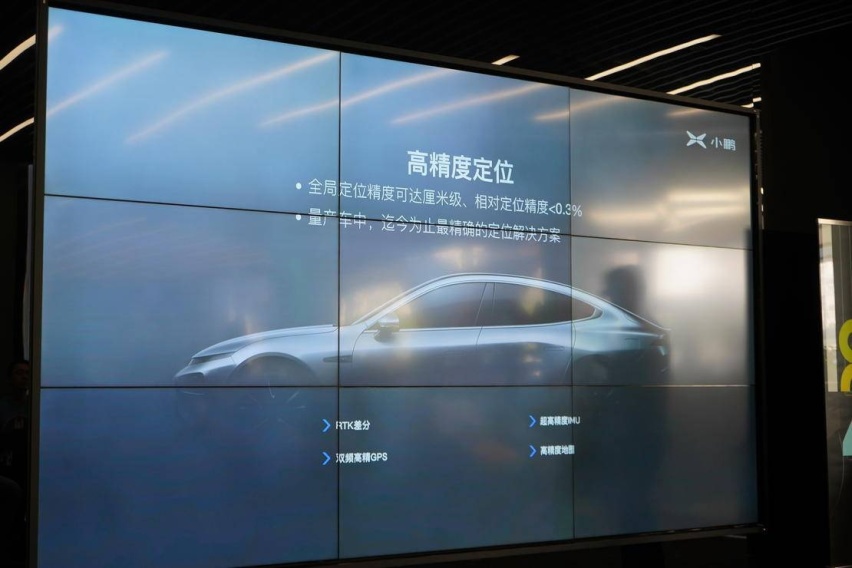 小鹏43.JPG