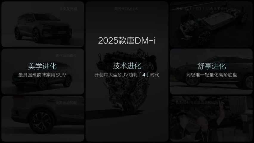 大唐生活家 为爱再进化 2025款唐DM-i上市发布会·武汉站