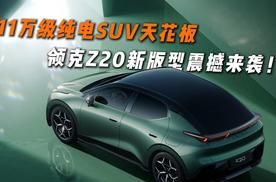 11万级纯电SUV天花板，领克Z20新版型震撼来袭
