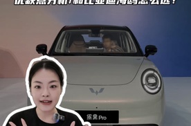 五菱缤果Pro有哪些优缺点？和比亚迪海鸥怎么选？