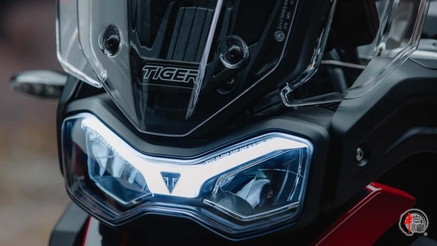 新车｜冠军纪念版凯旋TIGER900：Rally/GT阿拉贡版