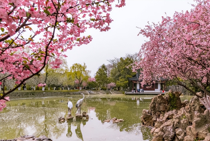南京旅游必去十大景点推荐，国庆南京旅游攻略来了