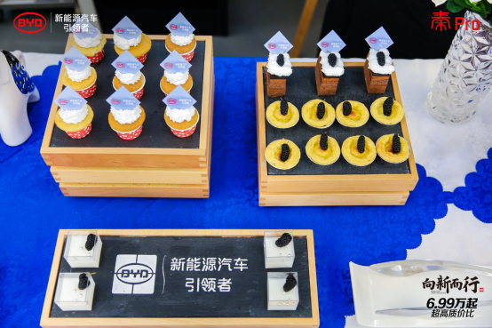 科技极智派 超感自进化 秦Pro超能版河北上市圆满落幕637.png