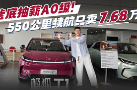 釜底抽薪A0级！550公里续航只卖7.68万？