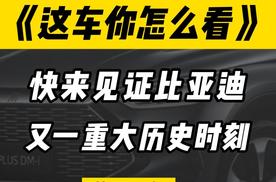 见证比亚迪又一历史时刻
