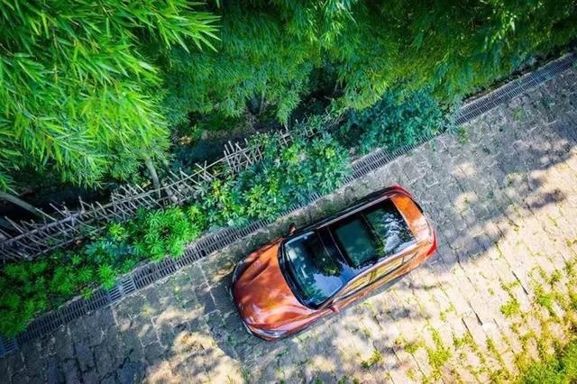 福克斯Active,一种成年人表达自由的方式