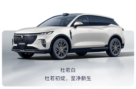 全新岚图知音四色官图发布，你中意哪款配色？