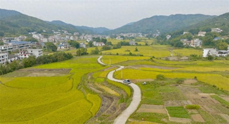 为黯淡无光注入希望！“点亮计划”在岁月流转中焕发乡村新生