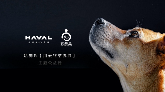 越级而“轻”！2024款哈弗大狗上市