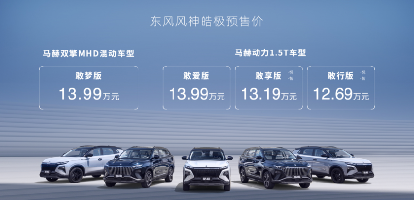 13万级混动SUV，皓极正式开启预售