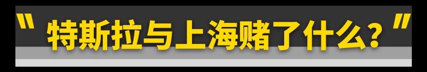 中国为什么要拯救美国特斯拉？