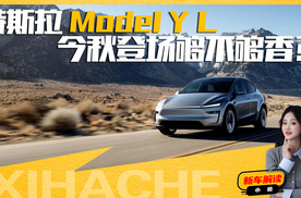特斯拉Model Y加长版来了，第三排够不够大？值得等吗