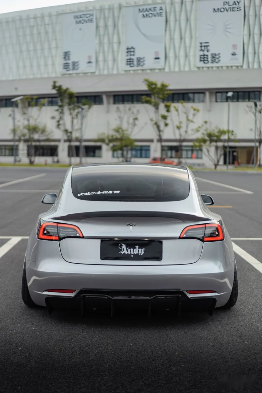 姿态风特斯拉Model 3，从迷彩战斗范变身成优雅绅士