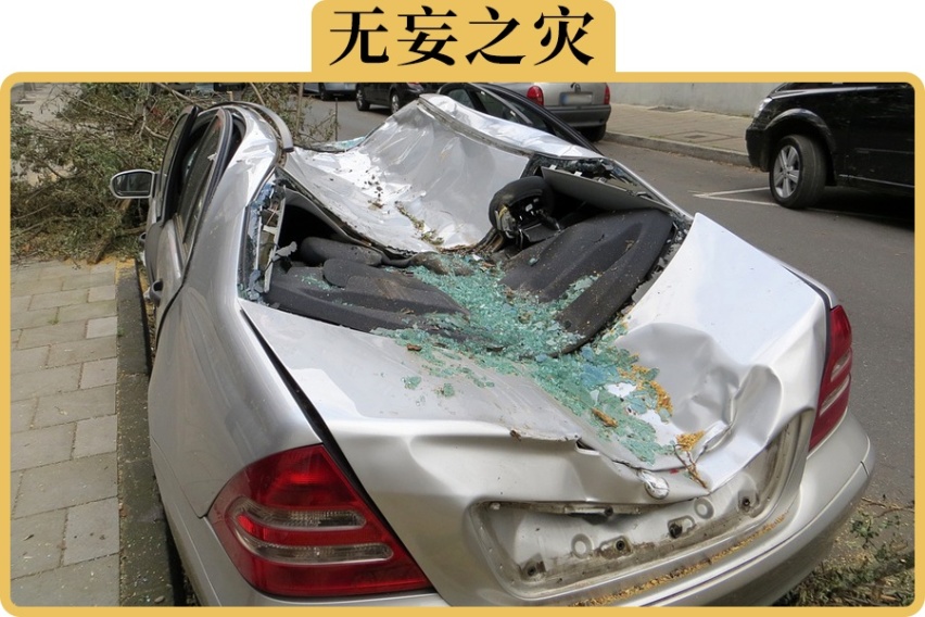 撞了路边违停的车，谁负责