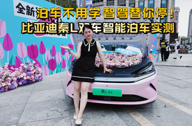 实测比亚迪秦L双车智能泊车，泊车不用学，智驾替你停，方便好用