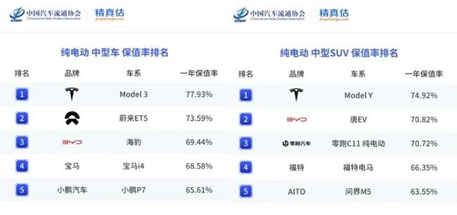 大型网友见面会！特斯拉热门车型即将亮相2024大河国际车展