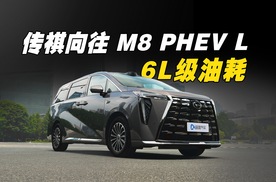 传祺向往M8 PHEV L：双阀SDC电磁悬架＋248km纯电续航