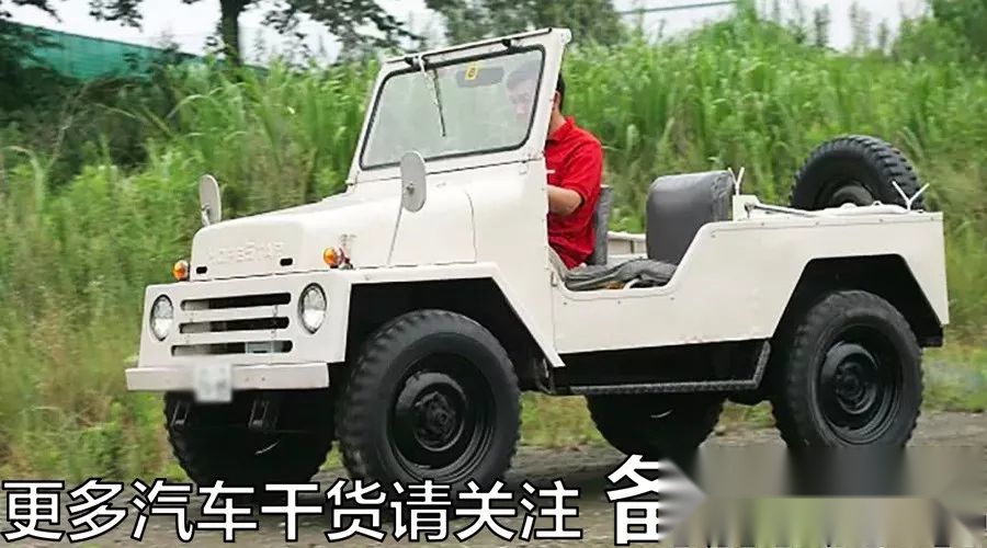 铃木吉姆尼-抱养孩子的成材路