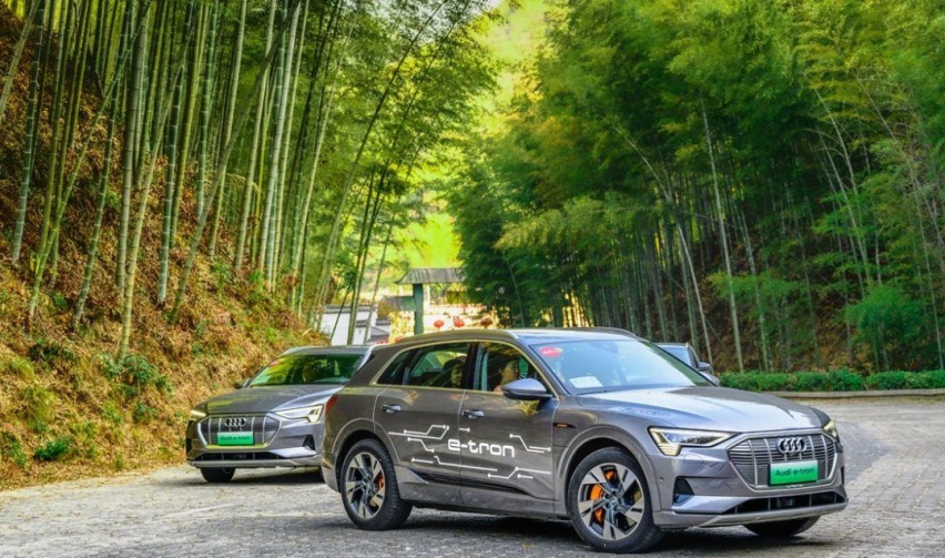 奥迪首款纯电SUV，预售70万起，与特斯拉有哪些不同？