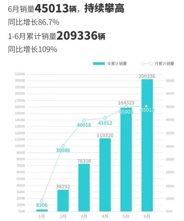 6月新能源销量公布，比亚迪、特斯拉憋大招，蔚小理中小鹏垫底