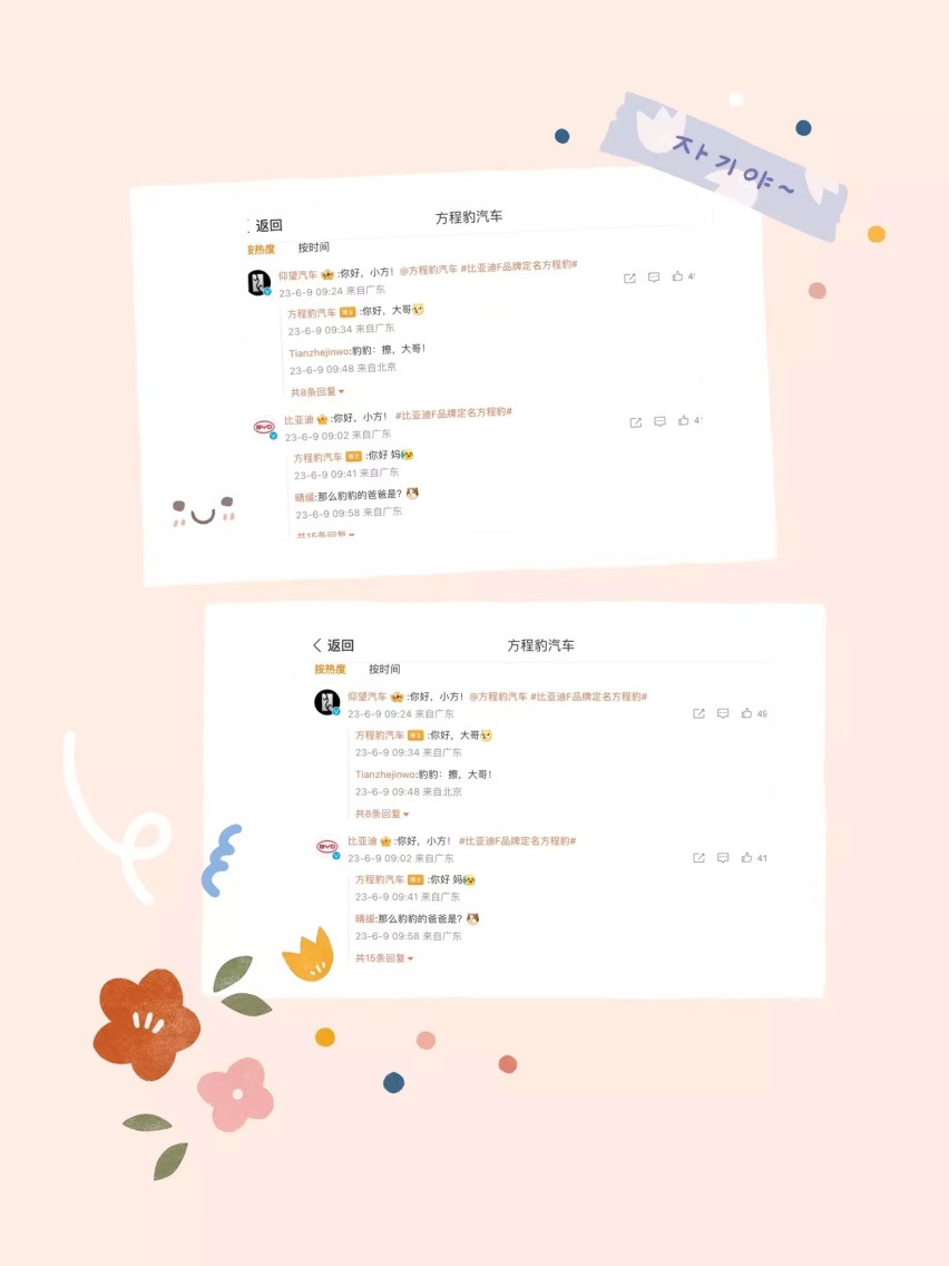 理性探索+感性灵动融合碰撞，比亚迪F品牌终定名方程豹