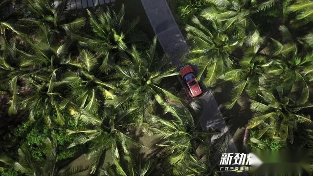 如何在三亚“趣发现” | Autocul旅行