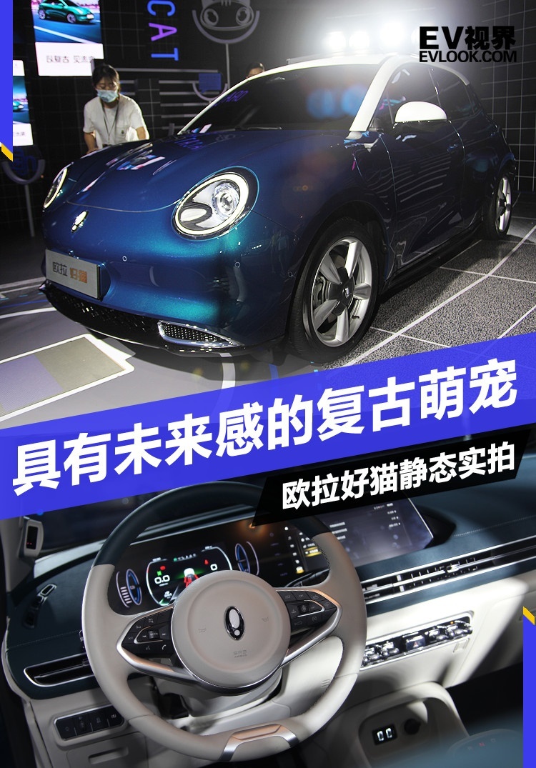 自带未来感的复古萌宠 欧拉好猫静态实拍
