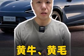 黄牛、黄毛 围猎小米YU7