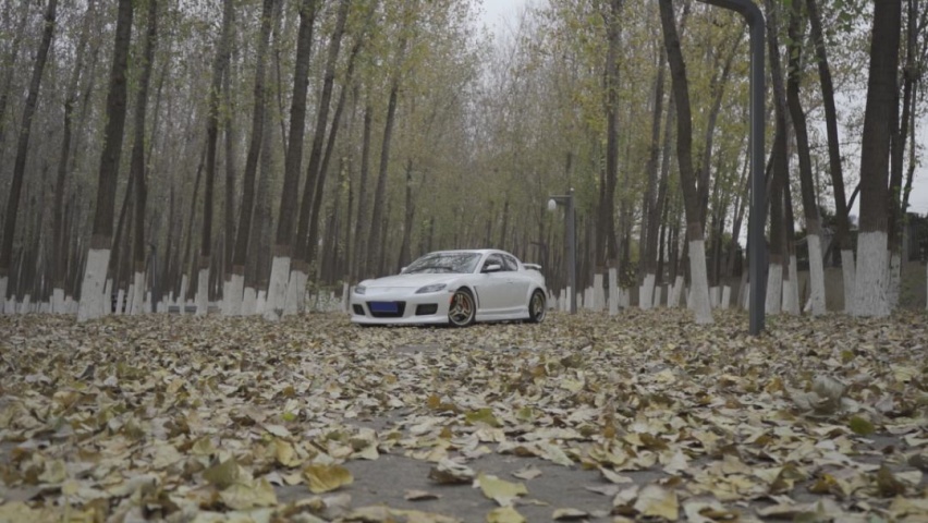 10万买辆进口跑车，二挡10000转下车直哆嗦