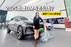 买车指南|2025款唐DM-i究竟选哪款？115KM尊荣型性价比高吗