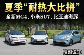 全新MG4、小米SU7、比亚迪海豚  夏季“耐热大比拼”
