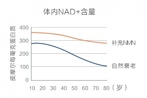 数亿流水、24小时医疗候命，豪门“续命”书曝光