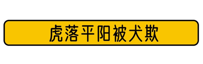 都说它是最划算的中型车！能买不？