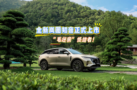 “毛坯房”终结者！满血华为、满配舒适 全新岚图知音20.29万元起！