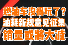 2026油耗新标意见征集，油车销量将大减？网友：再也不怕油涨价了