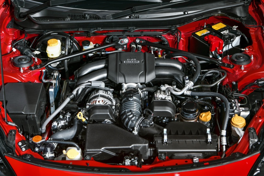 ab30-knipfse4912865.jpg