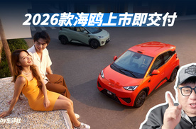 不画大饼不搞期货，2026款海鸥上市即交付