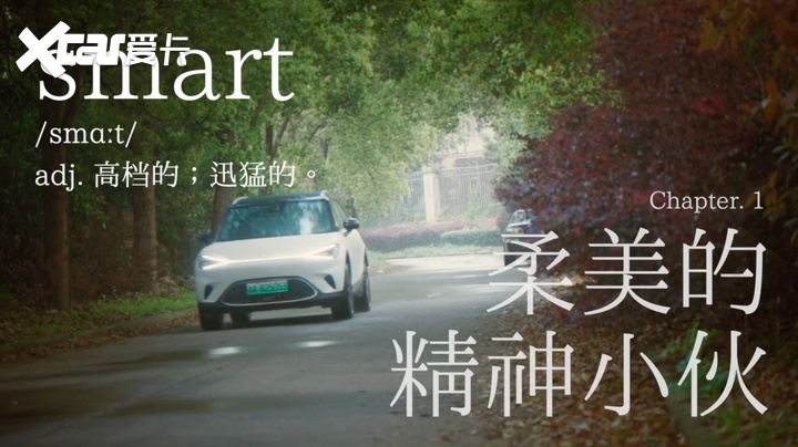 年轻人没理由不喜欢smart精灵#1，除非……