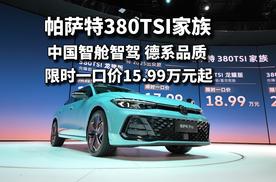 15.99万元起售，这次帕萨特380TSI家族头牌位置稳了？