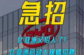 比亚迪又招人了！ 比亚迪启动大规模招聘 技术工月薪最高破万