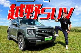国产「方盒子」之哈弗猛龙，混动四驱+差速锁只有10几万？
