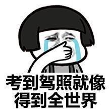科二又新增4个项目 难度加大 网友：看了真是想哭