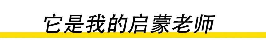 10万就能买到最好开的宝马？！
