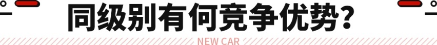 哈弗大狗追猎版来了！顶配2.0T带后锁 价格还不到17万？