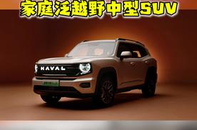 哈弗二代大狗改名哈弗大狗PLUS，家庭用户的泛越野中型SUV！