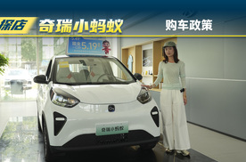 奇瑞小蚂蚁：购车政策